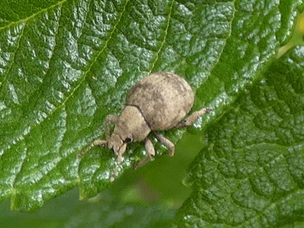 photo_1